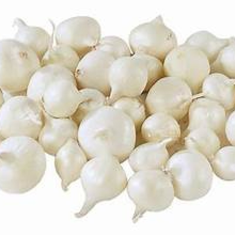 White Boiled Onion 1LB White Boiled Onion 1LB