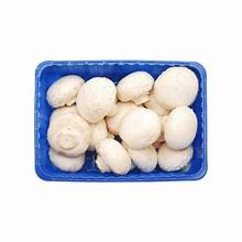 White Mushroom White Mushroom