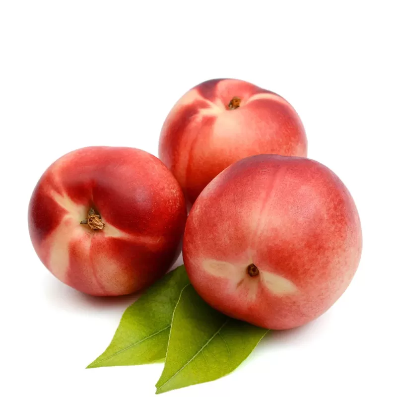 White Nectarine White Nectarine