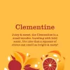 Mrs. Meyer's Dish Soap Clementine