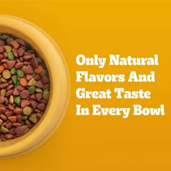 Pedigree Roasted Chicken Rice and Vegetable Small Dry Dog Food