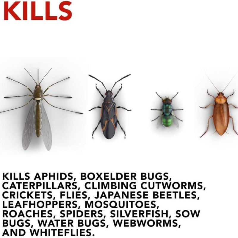 Raid House and Garden Aerosol