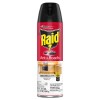 Raid Fragrance Free Ant and Roach Killer