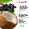 Bala Veda Shot Epic Elderberry