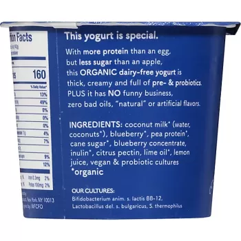 Cocojune Yogurt Blueberry Lemonade