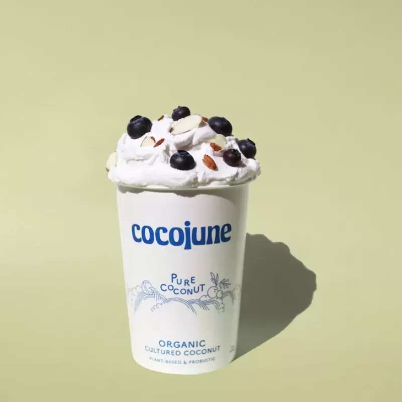 Cocojune Organic Cultured Coconut Yogurt – Pure Coconut