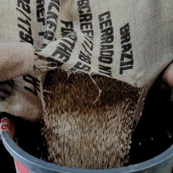 Thousand Acre Roastery Brazilian Ground Coffee Dark