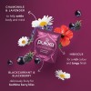 Pukka Organic Night Time Berry Herbal Tea