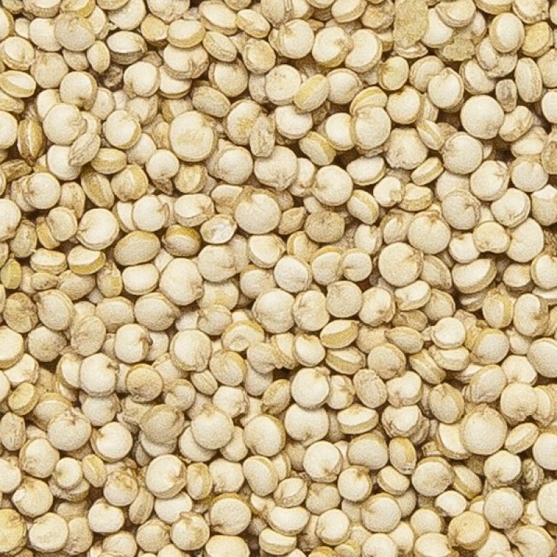 Dunya Harvest Whole Grain White Quinoa