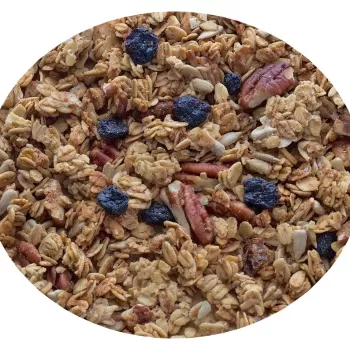 Upstate Granola GF Praline Pecan Sunflower & Blueberry