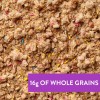 Uncle Crumbles – Granola Sugar Cookie