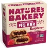 Nature's Bakery Raspberry Fig Bar