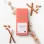 Moonstruck Nutty Milk Chocolate Cinnamon Bar