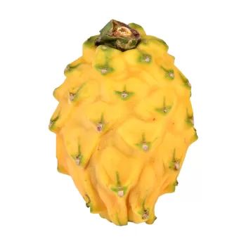 Yellow Dragon fruit
